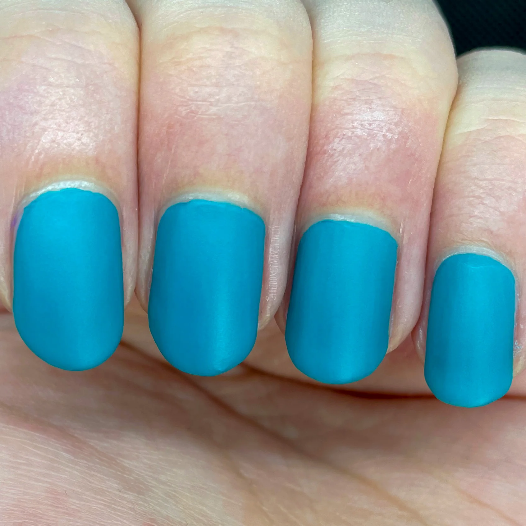 Bluebird - Image 4
