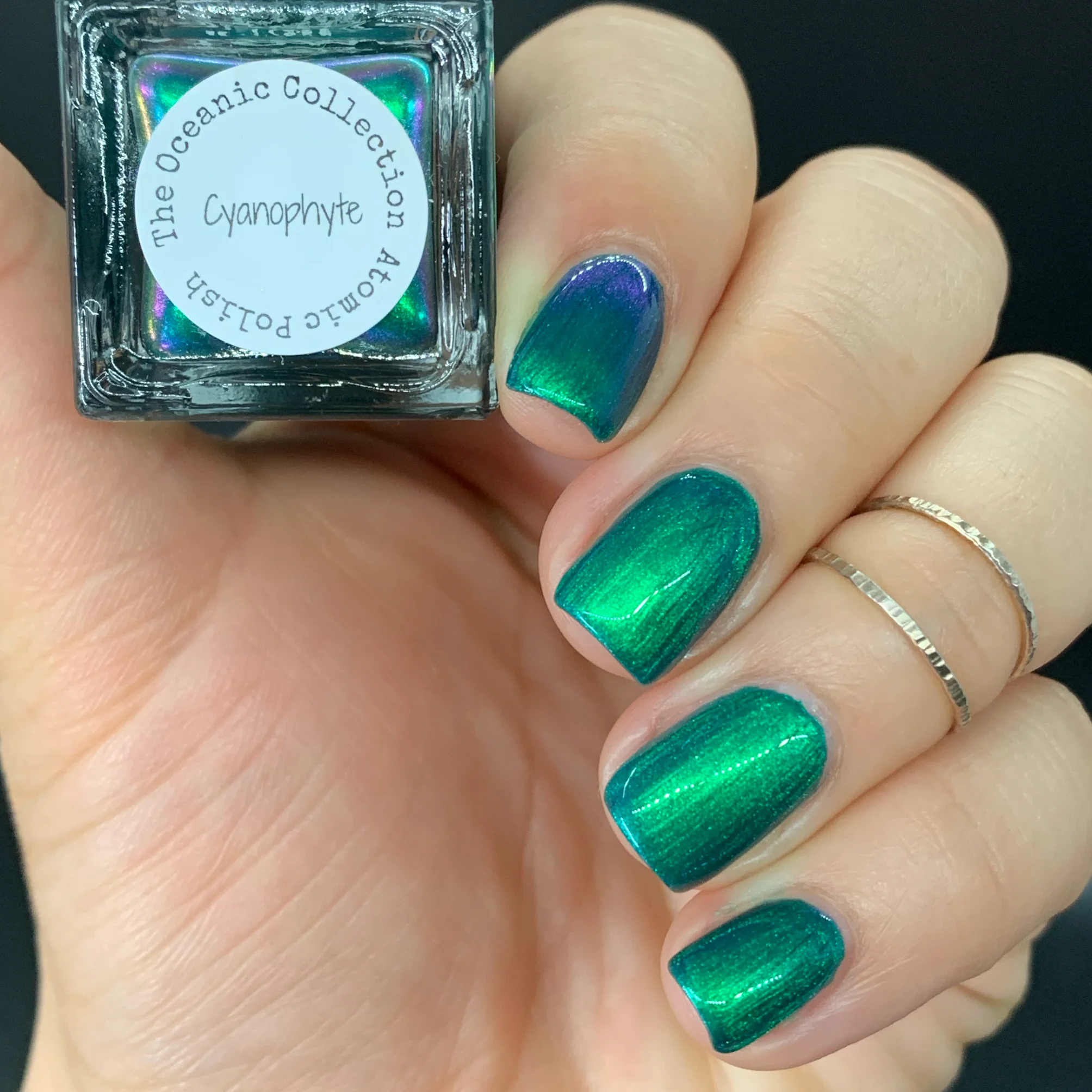 Cyanophyte - Image 7