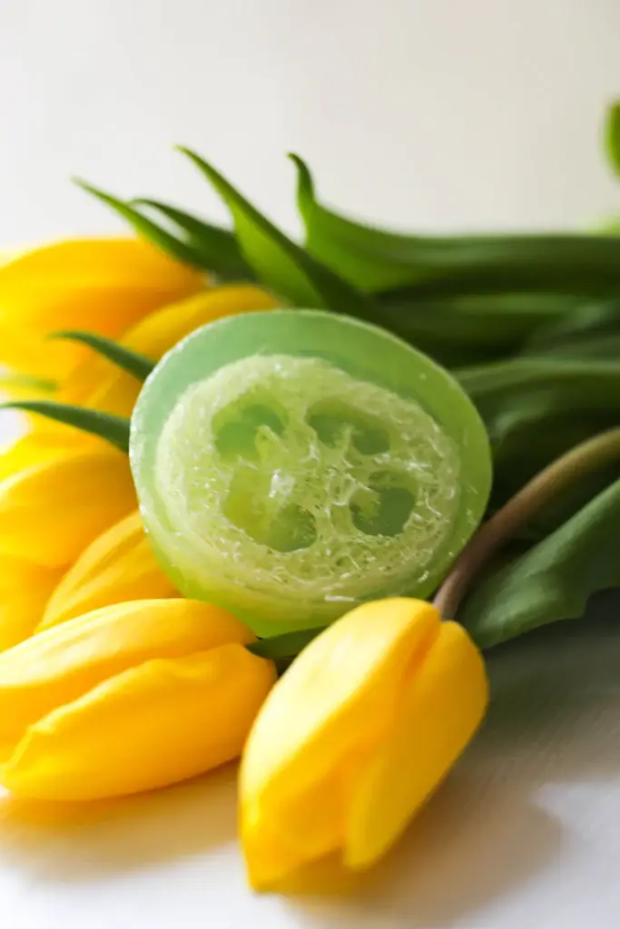 Eucalyptus Yuzu Loofah Soap - Image 2