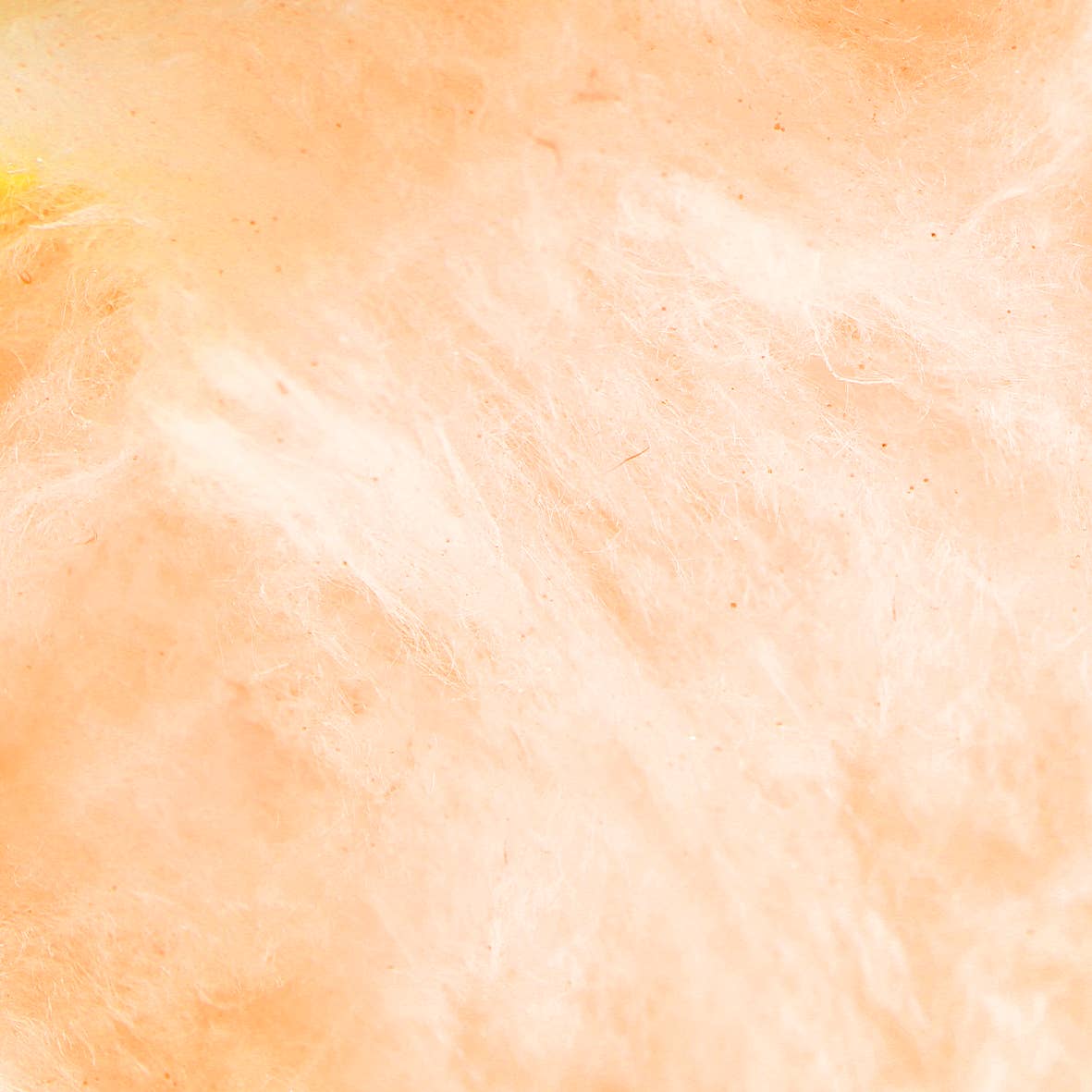 Flossie Cotton Candy - Image 18