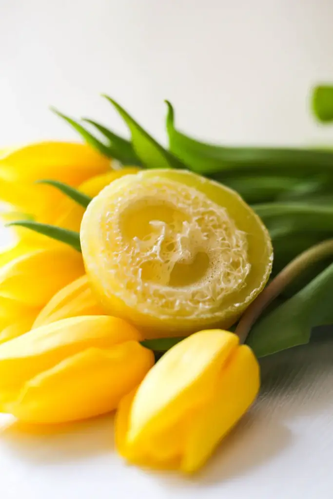 Mango Colada Loofah Soap - Image 2