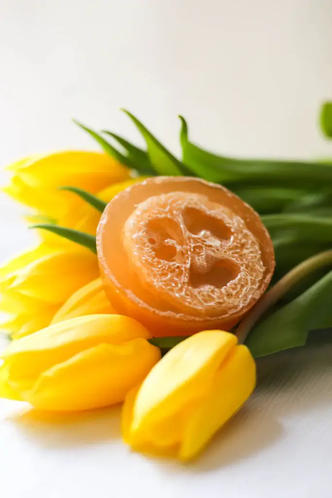 Orange Lemon Creamsicle Loofah Soap - Image 2