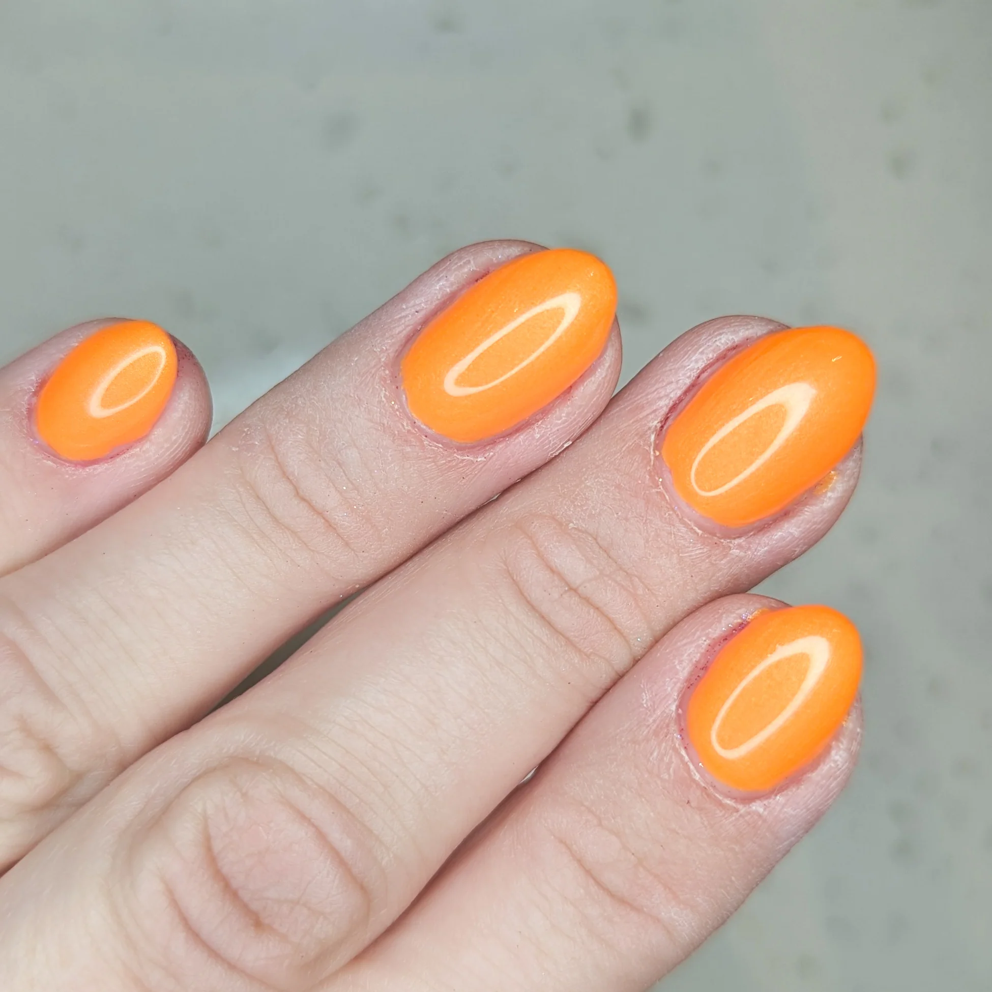 Orange Line - PBE 2025 Overpour