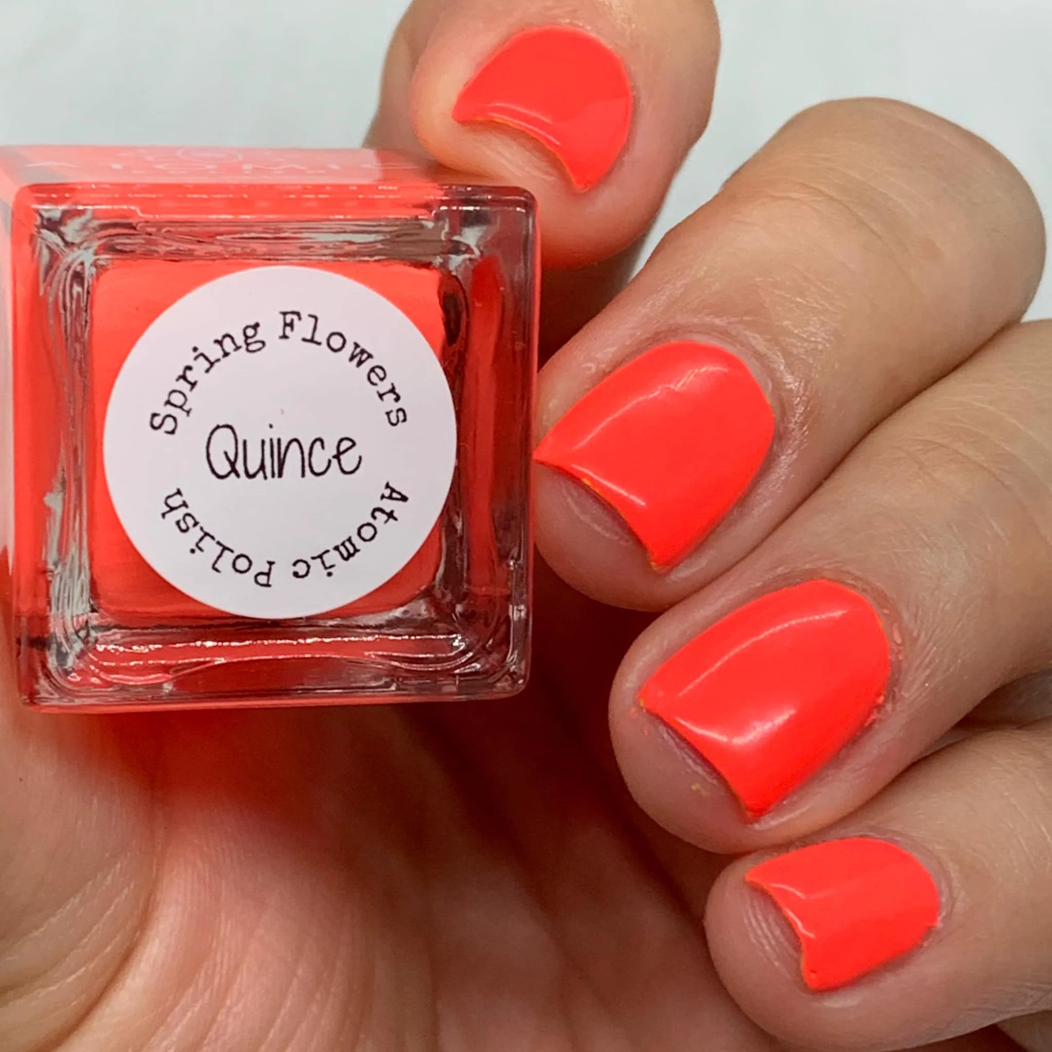 Quince - Image 8