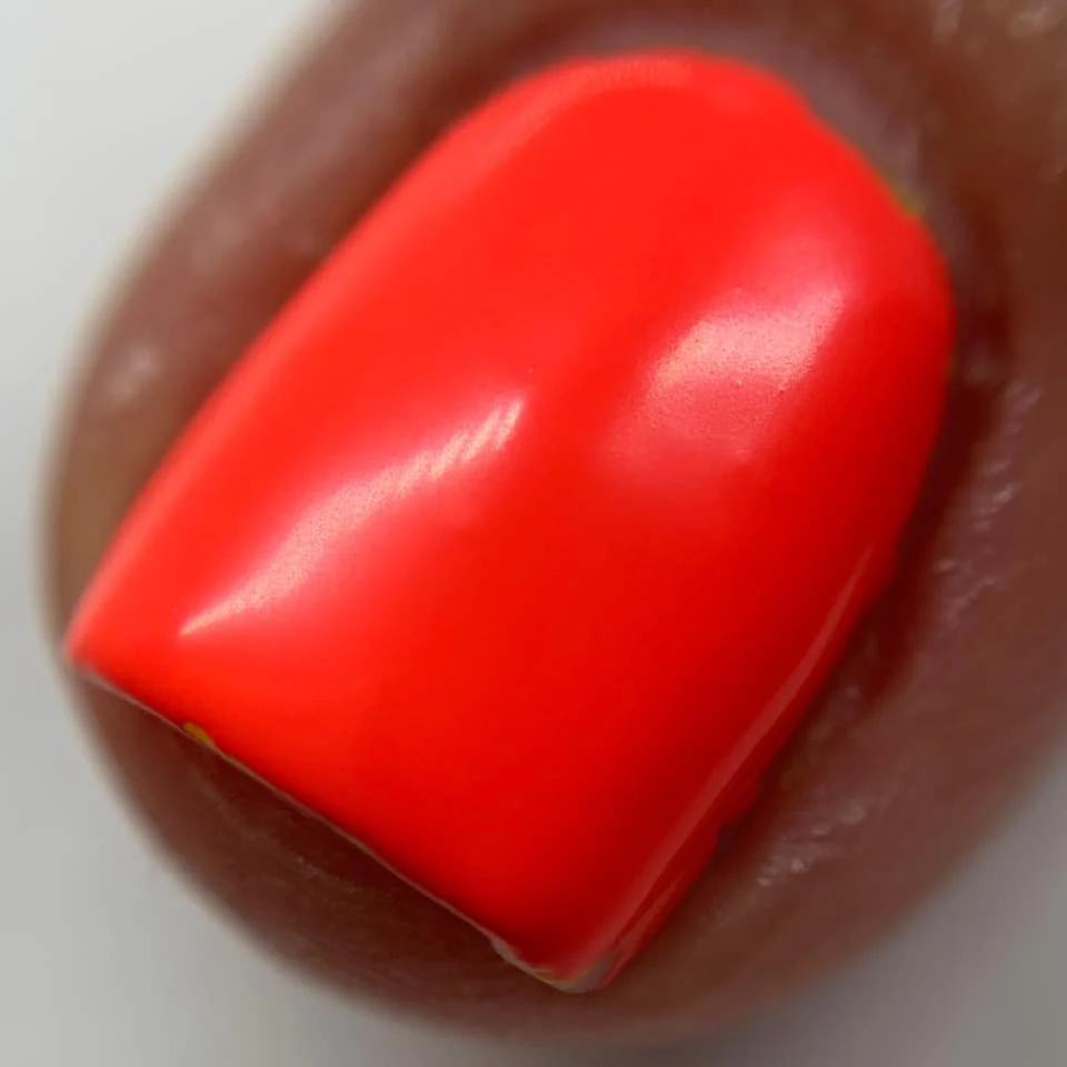 Quince - Image 9