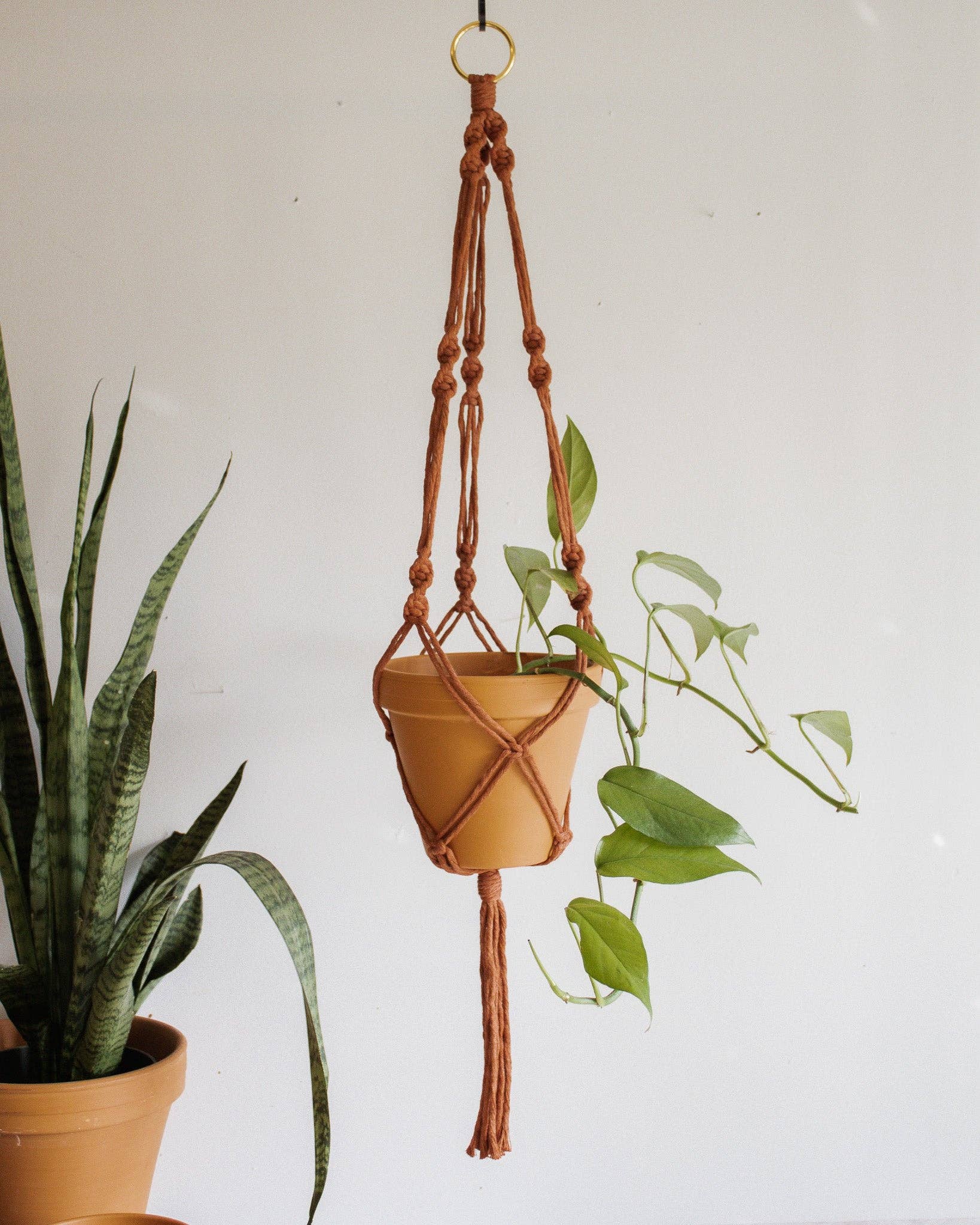 Simple Twist Macrame Plant Hanger - Image 10