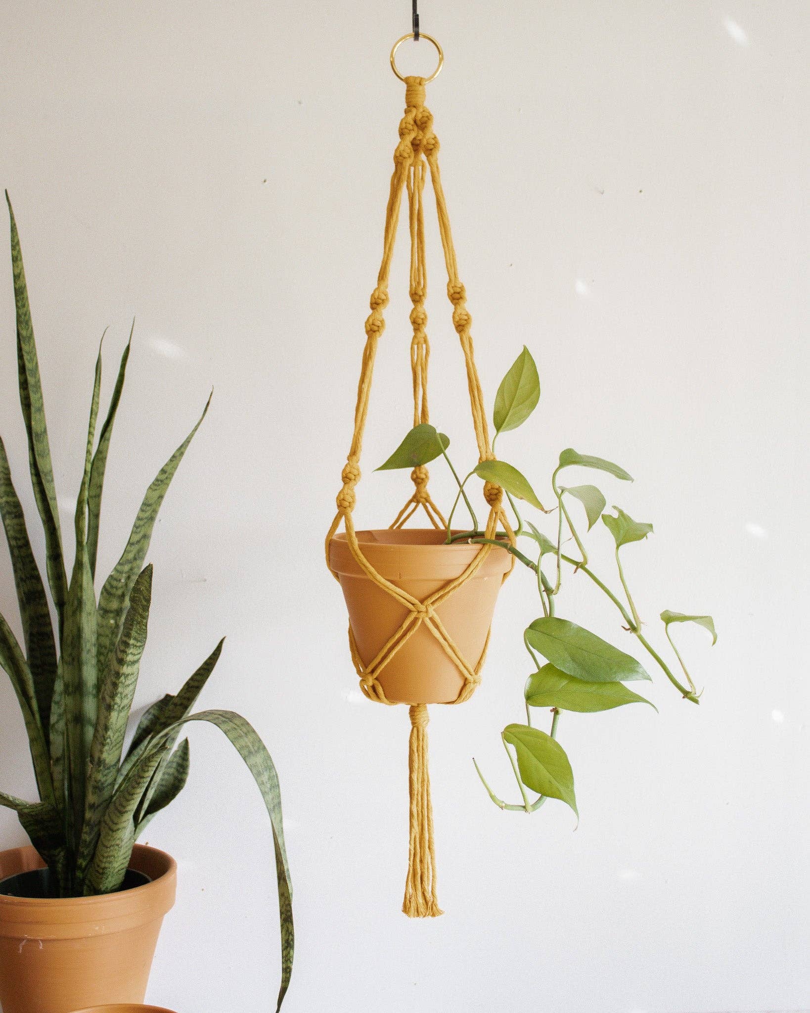 Simple Twist Macrame Plant Hanger - Image 11