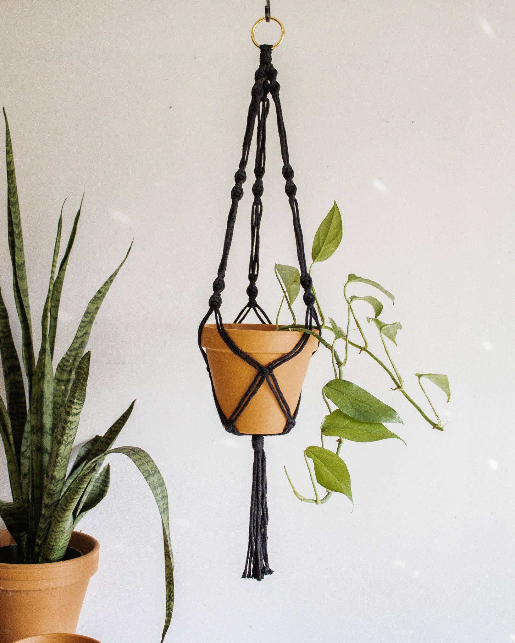Simple Twist Macrame Plant Hanger - Image 13