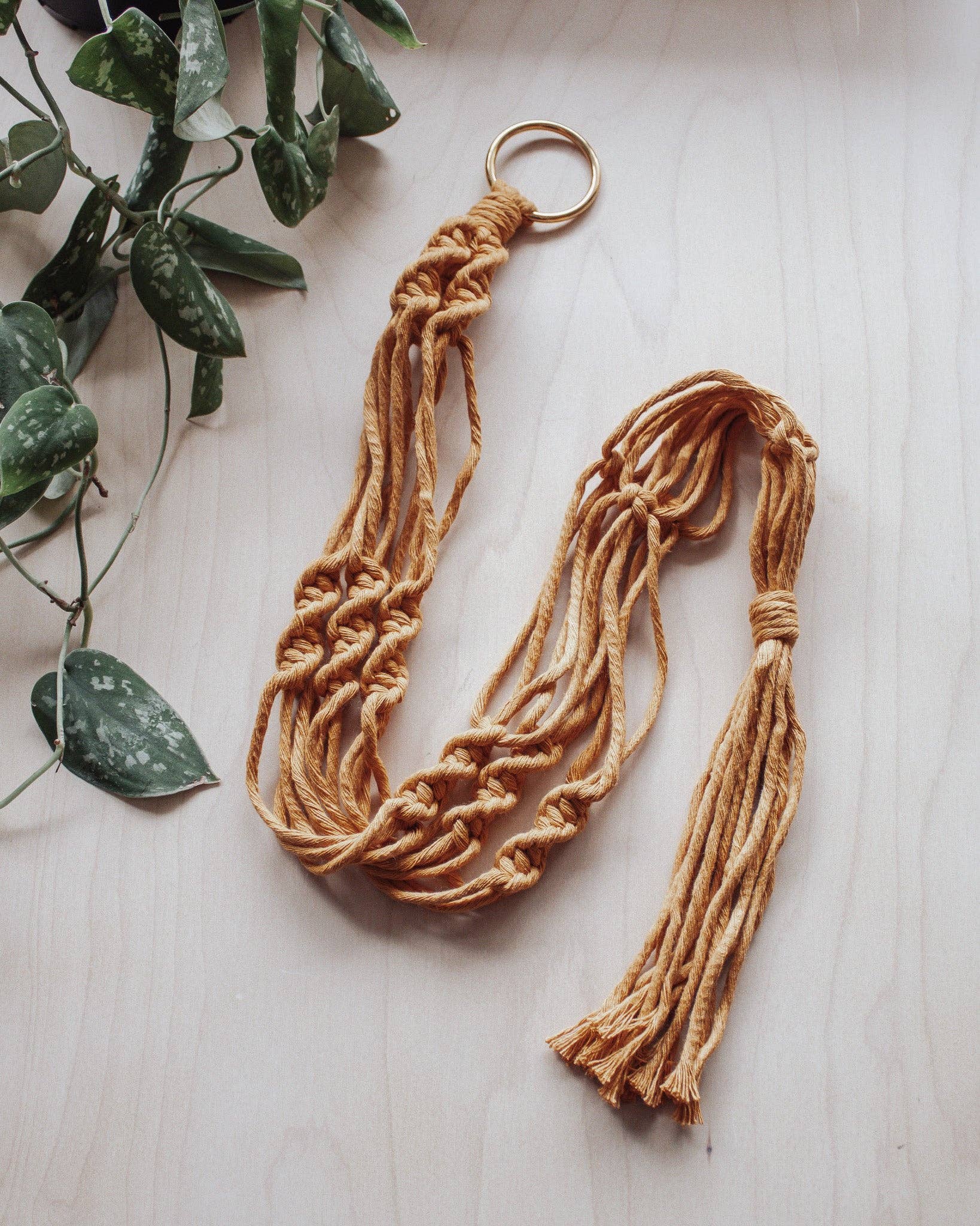 Simple Twist Macrame Plant Hanger - Image 2