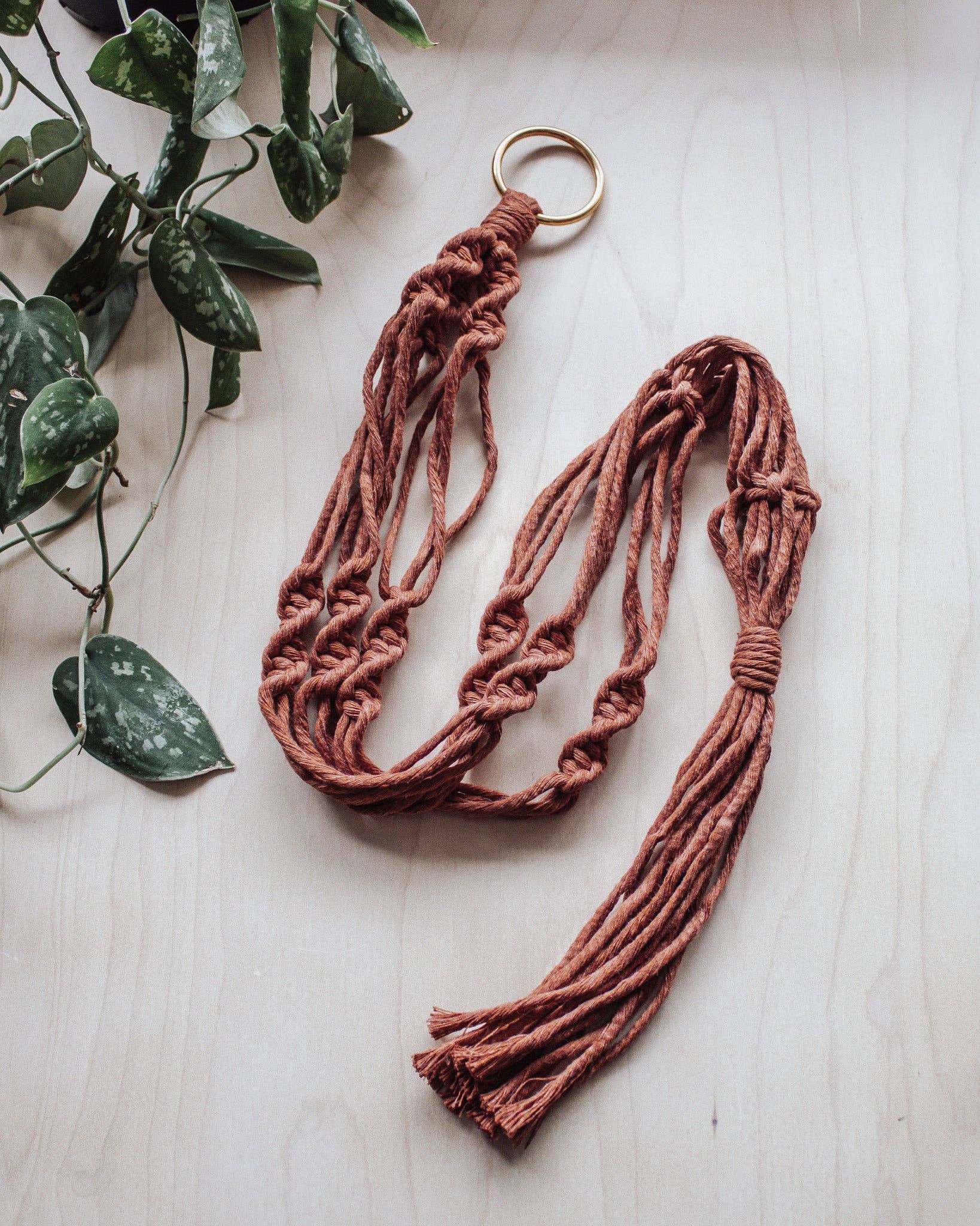 Simple Twist Macrame Plant Hanger - Image 4
