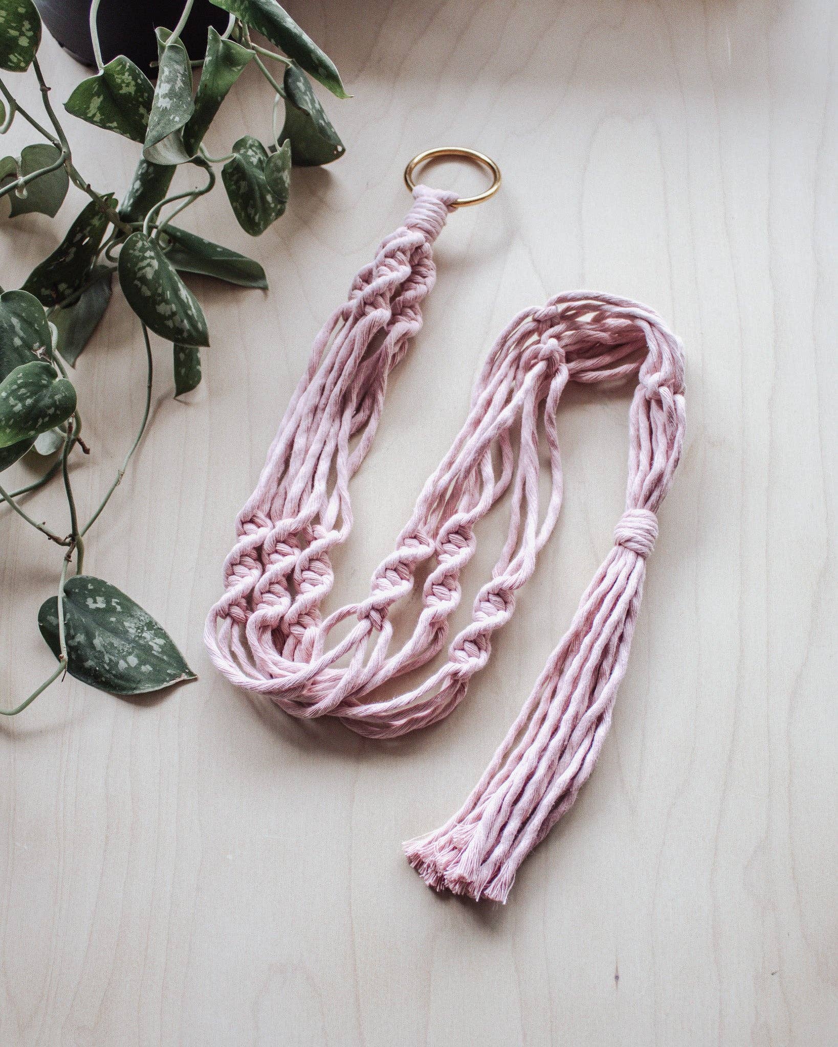 Simple Twist Macrame Plant Hanger - Image 6