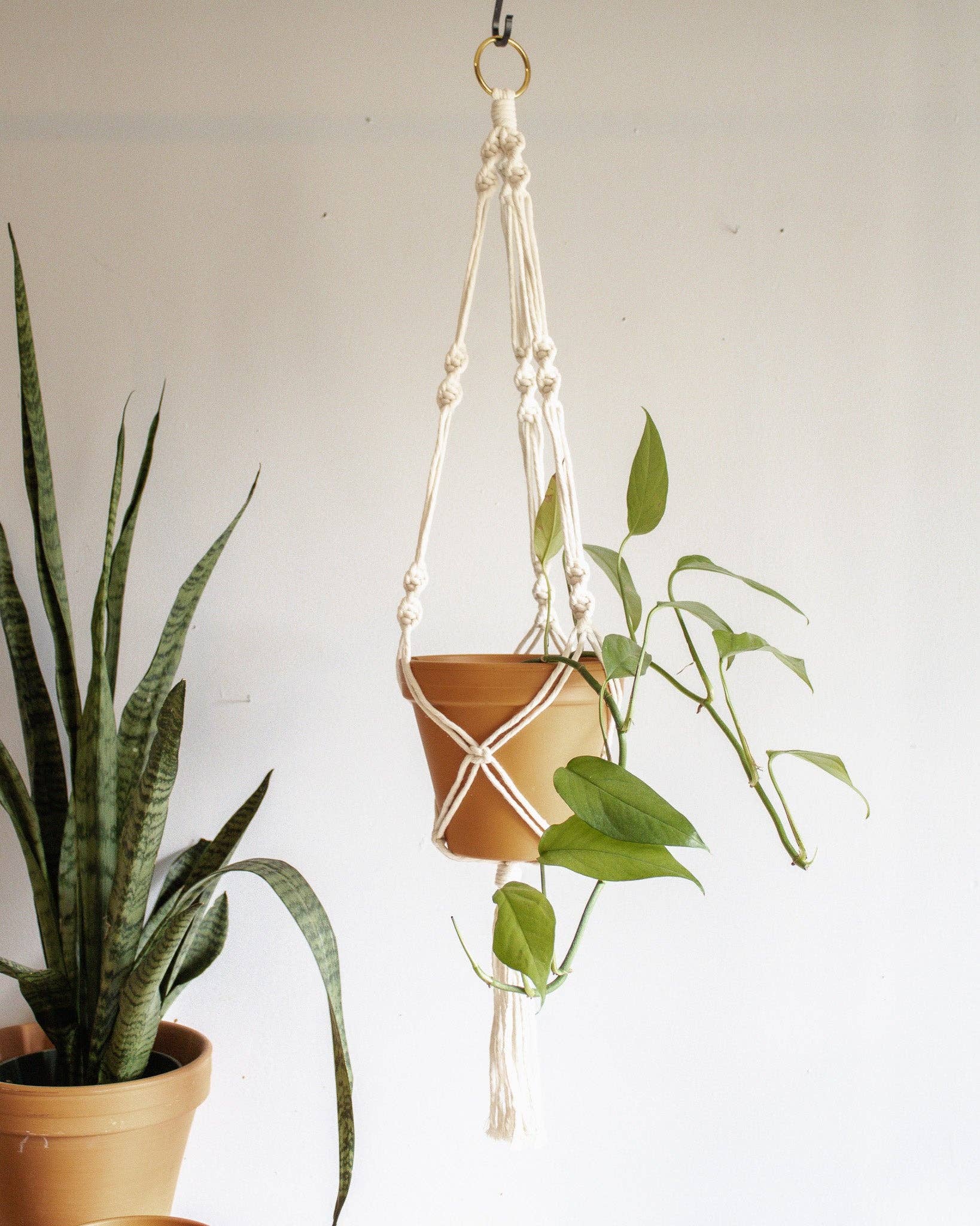 Simple Twist Macrame Plant Hanger - Image 8