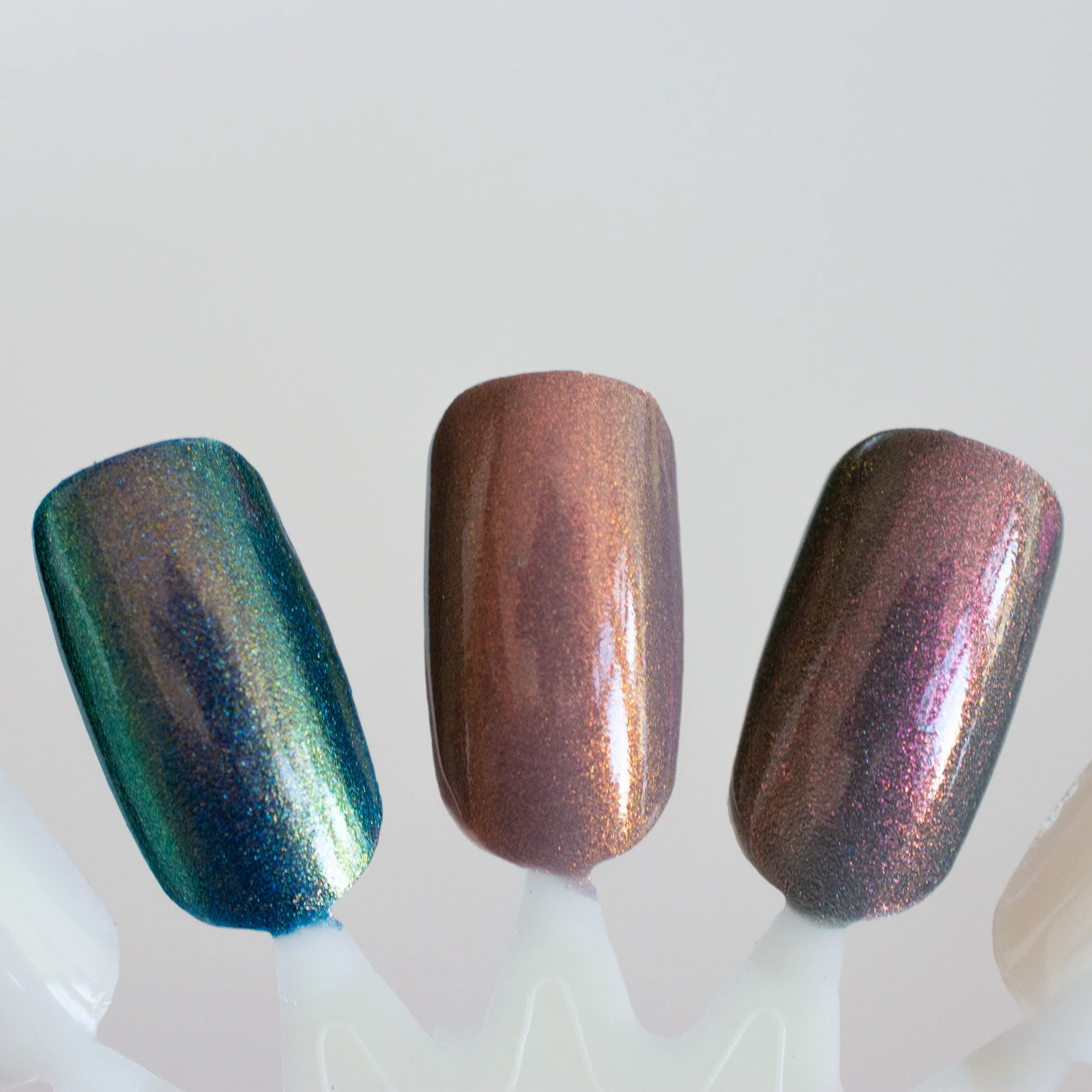 The Dendrology Collection - Image 4